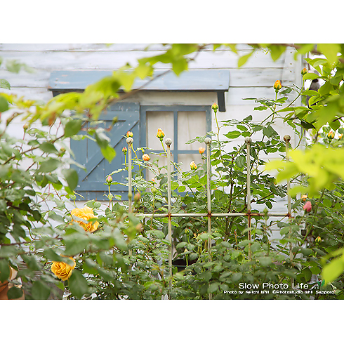 2016のお庭スタジオ